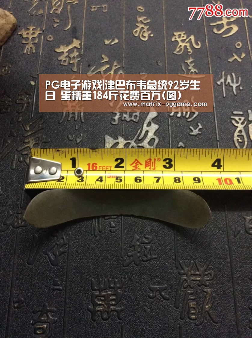 PG电子游戏|津巴布韦总统92岁生日 蛋糕重184斤花费百万(图)(图2) pg电子官方入口