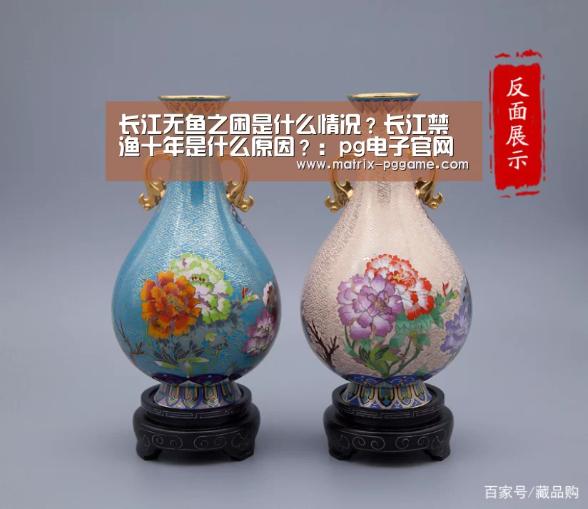pg电子官网
