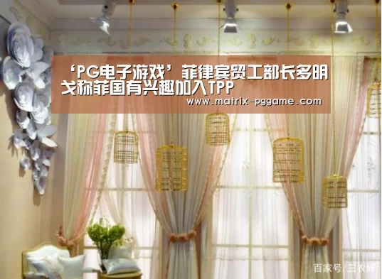 PG电子游戏