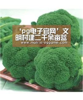 ‘pg电子官网’文明村建二千余亩蓝莓种植