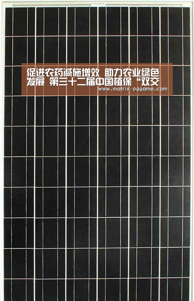 PG电子中国
