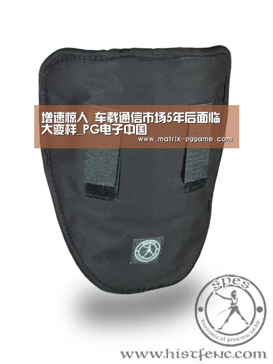 PG电子中国